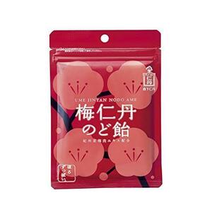 森下仁丹　梅仁丹のど飴 60g　12袋セット 送料無料