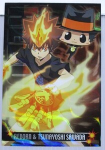 REBORN リボーン ブロマイド リボーン & 沢田綱吉 ツナ SP01 カード 未使用 家庭教師ヒットマン