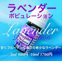 【甘くフルーティな香りが特徴】ラベンダーポピュレーション精油5ml_画像2