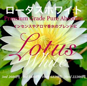  Lotus белый Absolute 3ml( др. емкость соответствует возможно )