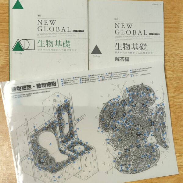 改訂 ニューグローバル生物基礎 東京書籍