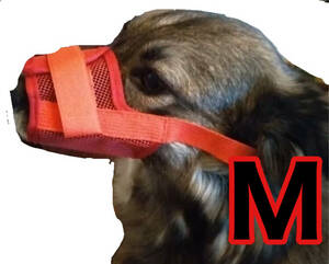  dog for muzzle; ferrule uselessness .. red M