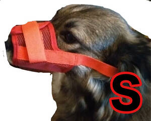  dog for muzzle; ferrule uselessness .. red S