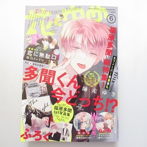 白泉社 花とゆめ 2023年6号 多聞くん今どっち!? 墜落JKと廃人教師 スキップ・ビート！ 顔だけじゃ好きになりません 恋に無駄口