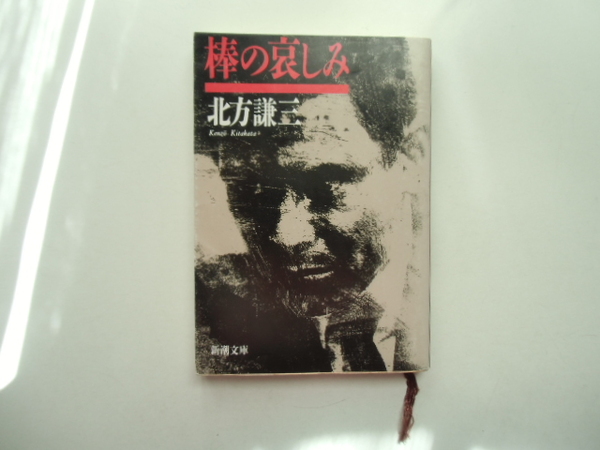 棒の哀しみ　　　　　　　　北方謙三　　　　　　　　新潮文庫