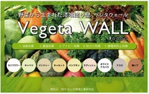「ベジタウォール・柿シブ」　野菜から生まれた漆喰・塗り壁材_画像2
