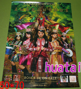 Momoiro Clover Z Amaranthus Poster