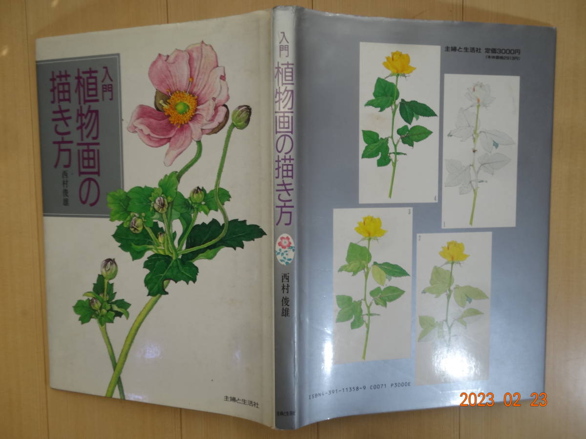 植物画の描き方の値段と価格推移は？｜11件の売買データから植物画の