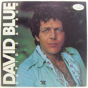 LP,デイヴィッドブルー　DAVID BLUE　キューピッズアロー ジャケット不良