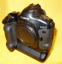 1円〜：EOS-1Ds/EOS-1V２台:キヤノン CANON EOS-1Ds MARK II DIGITAL＋EOS-1V_画像2