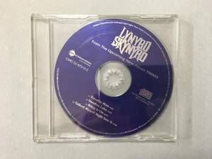 LYNYRD SKYNYRD TRAVELIN' MAN US запись PROMO рукав нет 