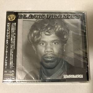 Black Frames - Solar Allergy CD Critters Buggin クリッターズ・バギン 