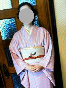 訪問着の着物とそれに似合うなこや帯です。イイ品物の着物です。写真の帯とは違います