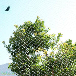  protection from birds * pest control net bird. nest ... attaching not pet . mileage prevention for dog Ran bird ..kalas measures veranda field fruit tree . clamping band attaching usually using 