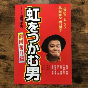 ★★映画チラシ★★『 虹をつかむ男 』西田敏行　吉岡秀隆　田中裕子 /1996年公開/邦画/非売品【N1193/な行】