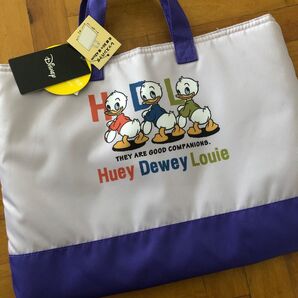 レッスンバッグ ディズニー トートバッグ 絵本バッグ
