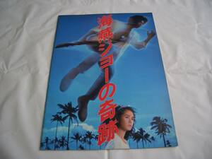 映画 パンフレット 1984年 海燕ジョーの奇跡 時任三郎 藤谷美和子 三船敏郎 原田芳雄 当時物
