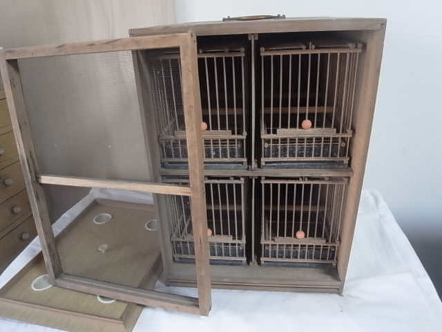 ヤフオク! -「メジロ籠」の落札相場・落札価格