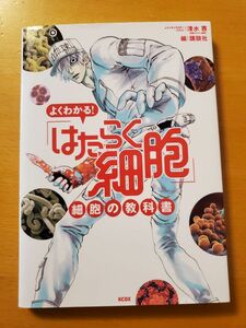 【美品】よくわかる！「はたらく細胞」細胞の教科書 （ＫＣＤＸ） 清水茜／講談社／編★小学校高学年～中学２年生幼児教材映画アニメ化