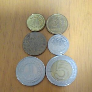 ポーランド硬貨×６枚