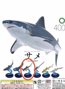 ネイチャーテクニカラー400 サメ★アカシュモクザメ★いきもん★ガシャポン★新品未開封