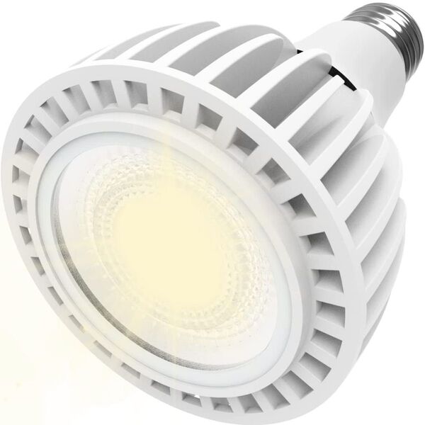 LED植物育成ライト 100W相当 太陽のような自然光 COBチップ 170umol/㎡/s E26口金 植物育成ライト