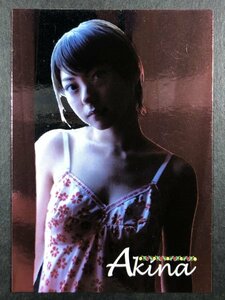 AKINA　アキナ　HIT'ｓ ヒッツ 2008　107　スペシャルミラーカード　水着 グラビア アイドル トレカ トレーディングカード フォルダー５