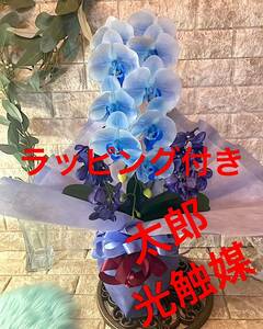 光触媒　人工観葉植物　ウォールグリーン　フェイク　フラワー　ハンドメイド　リアル胡蝶蘭bb66