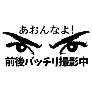 あおり防止 ステッカー 【 あおんなよ 前後バッチリ撮影中 】【ブラック】 車用 カッティングステッカー ドラレコ搭載車用 交通安全