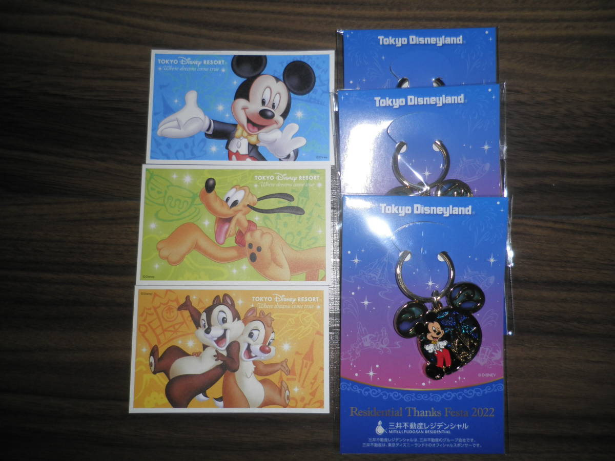 メール便に限り送料無料!! 東京ディズニーランド貸切イベント 2/24