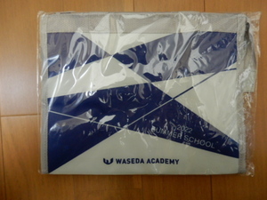 ■非売品・レア 早稲田アカデミーオリジナル保冷温バック-2022SUMMER SCHOOL -WASEDA ACADEMY