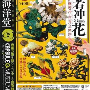 ガチャ 海洋堂カプセルQミュージアム『若冲の花 伊藤若冲・花卉立体図』  全５種セットの画像1