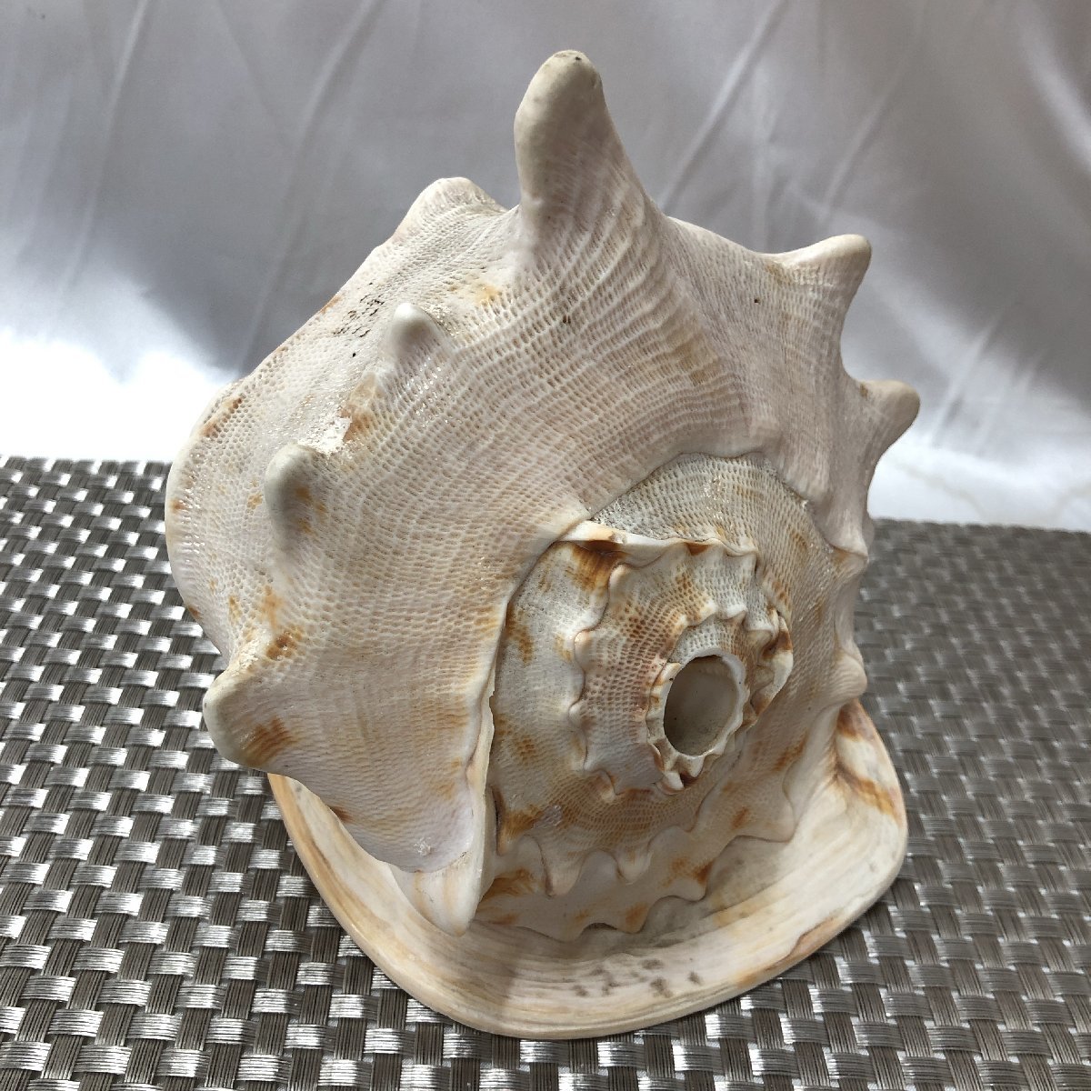 ヤフオク! -トウカムリの中古品・新品・未使用品一覧