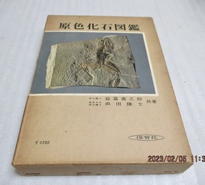 『原色化石図鑑』　　益冨壽之助/浜田隆士（共著）　　　保育社　　　　昭和41年初版　　　単行本