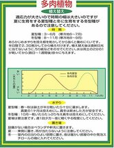 平和 サボテン・多肉植物の培養土 10リットル_画像4