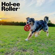 JW Pet Company 犬用おもちゃ ホーリーローラーボール ピンク Sサイズ (x 1)_画像9