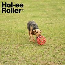 JW Pet Company 犬用おもちゃ ホーリーローラーボール ピンク Sサイズ (x 1)_画像3