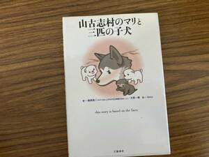 桑原眞二 大野一興 山古志村のマリと三匹の子犬 /J