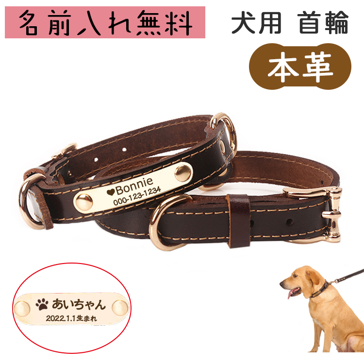 送料無料/プレゼント付♪ 中型〜大型犬用の首輪 本革製平革タイプ 情熱 送料無料/プレゼント付♪ 中型〜大型犬用の首輪 本革製平革タイプ 情熱