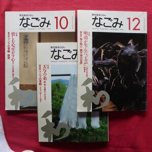 雑誌「なごみ」1995年12冊【特集：桃山の花、高台寺蒔絵/弁当箱/能面の幽美/床の間/アジアの漆/天与の糸/明治が生んだ工芸、他】の画像7