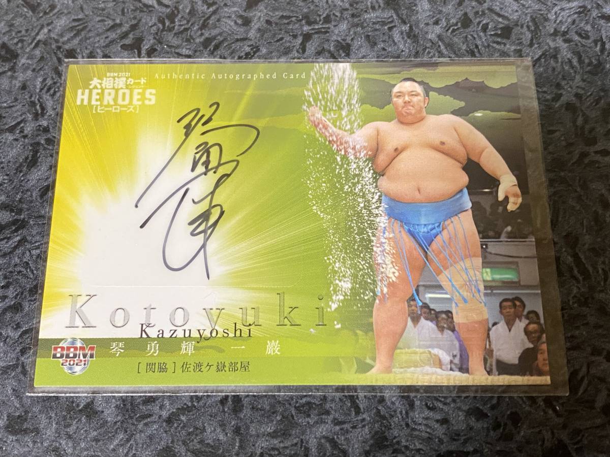 即購入OK試着のみサイズ 琴欧洲 花形力士カラー写真 ベースボール