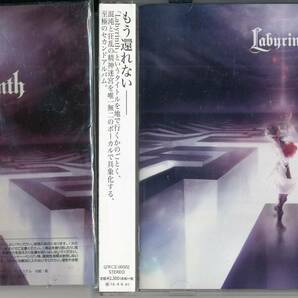 ルスluz/Labyrinth -white-(通常盤) ★ラバーストラップ付の画像1