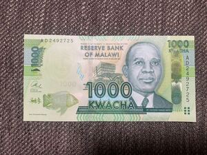 【未使用 】1000クワチャ　マラウイ 紙幣⑧