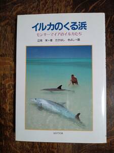 イルカのくる浜―モンキーマイアのイルカたち　辺見 栄（作）たかはし きよし（絵）女子パウロ会　[aa97]