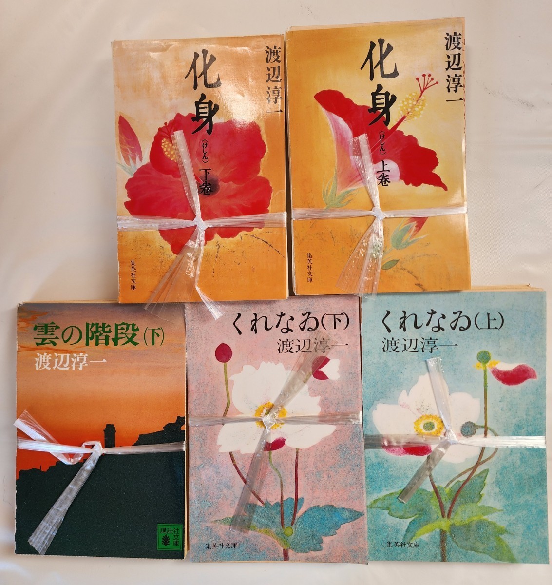 文庫本約7000冊 専用本棚 ケース付き 本、雑誌 文学、小説 エッセイ ...