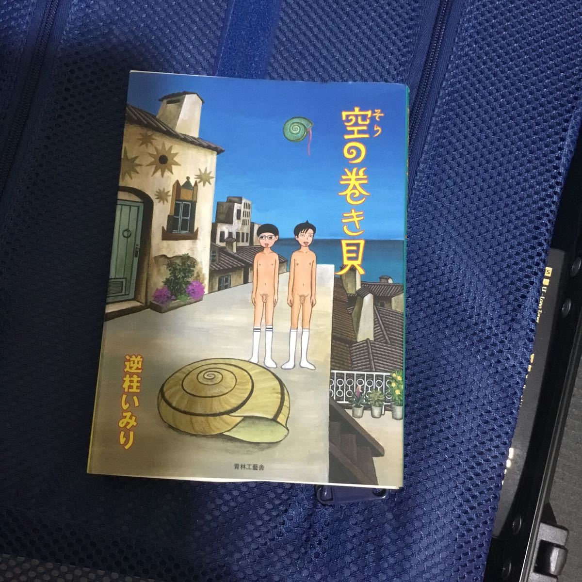 激レア 限定 ☆ 逆柱いみり 画集 蜃樓紀 1000部限定 本、雑誌