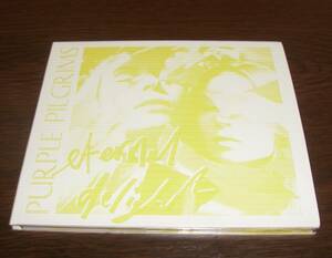 送料無料☆ 美品 ☆ PURPLE PILGRIMS / ETERNAL DELIGHT 輸入盤CD ☆2016年 Chills Clean Beach House Ariel Pink Galaxie 500 Moon Duo