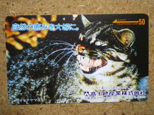 neko*390-6578 height thousand . industry i rio moteyama cat telephone card 