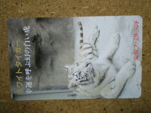 doub*. white Tiger Takarazuka Family Land telephone card 