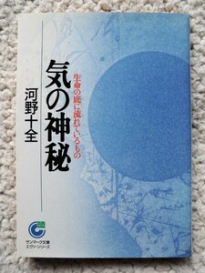 気の神秘 生命の底に流れているもの (サンマーク文庫) 河野 十全